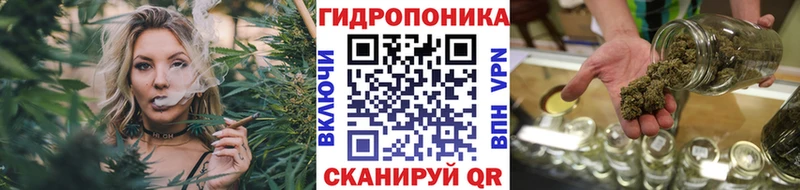 Марихуана White Widow  blacksprut маркетплейс  Заозёрск 